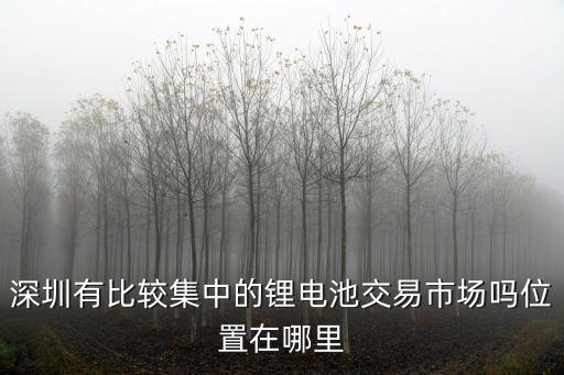 深圳有比較集中的鋰電池交易市場嗎位置在哪里