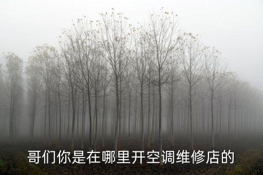 哥們你是在哪里開空調(diào)維修店的