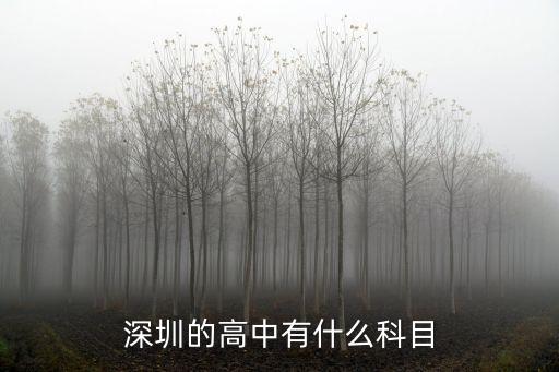 深圳的高中有什么科目
