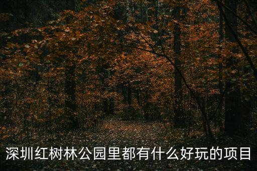 深圳紅樹林公園里都有什么好玩的項目
