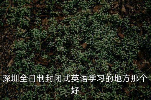 深圳全日制封閉式英語學(xué)習(xí)的地方那個(gè)好