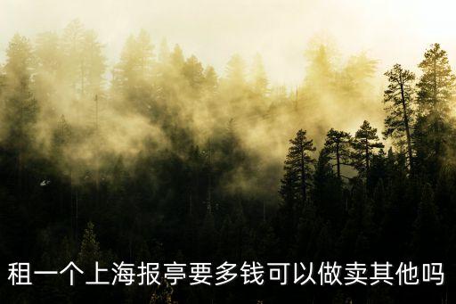租一個上海報亭要多錢可以做賣其他嗎