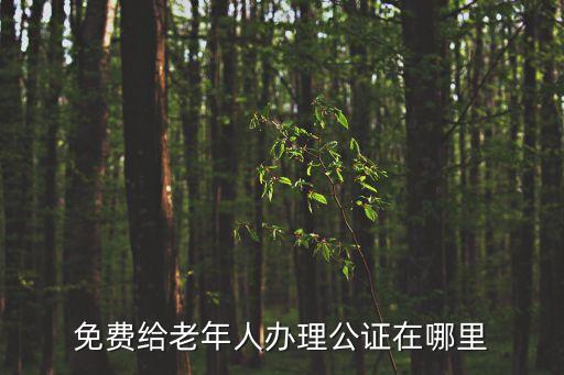 上海市老年人有否免費公證，免費給老年人辦理公證在哪里