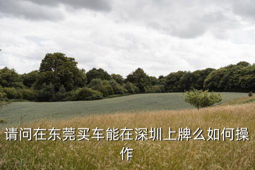 請問在東莞買車能在深圳上牌么如何操作