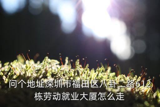 問個地址深圳市福田區八卦二路612棟勞動就業大廈怎么走