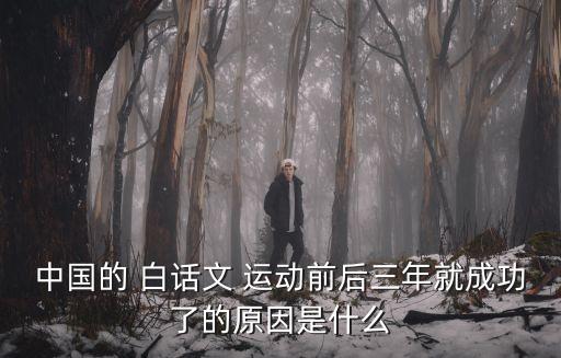 中國的 白話文 運(yùn)動前后三年就成功了的原因是什么