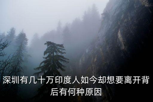 深圳有幾十萬印度人如今卻想要離開背后有何種原因