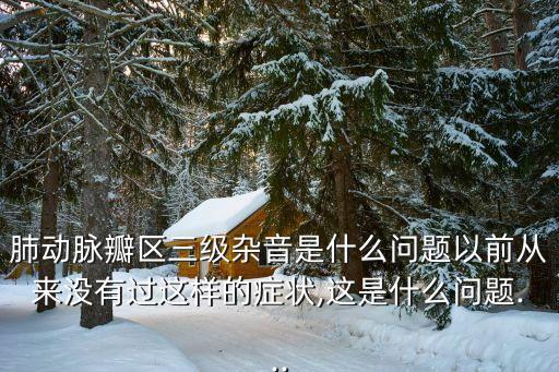 肺動(dòng)脈瓣區(qū)三級雜音是什么問題以前從來沒有過這樣的癥狀,這是什么問題...