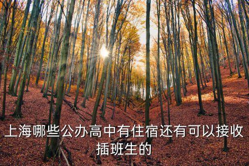 上海市重點高中的公辦生源，上海都有哪些公辦高中