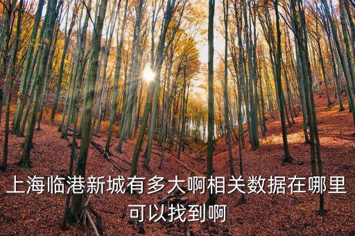 臨港上海市規(guī)劃，上海臨港新城有多大啊相關(guān)數(shù)據(jù)在哪里可以找到啊