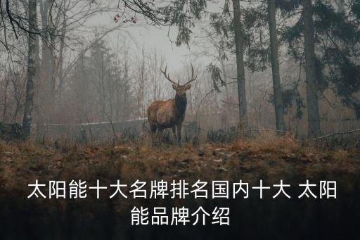  太陽能十大名牌排名國內十大 太陽能品牌介紹