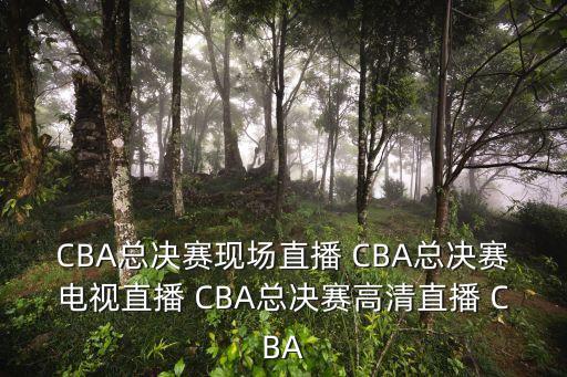 遼寧男籃深圳男籃直播視頻，今天晚上的CBA決賽遼寧對廣東哪個網(wǎng)站直播啊