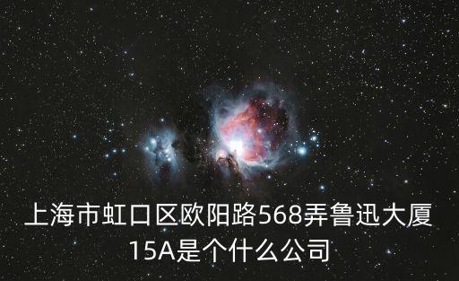 上海市虹口區歐陽路568弄魯迅大廈15A是個什么公司