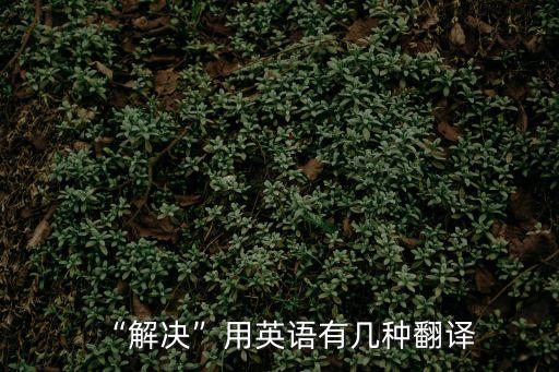 解決的英文短語,成功地發(fā)展,解決的英文短語