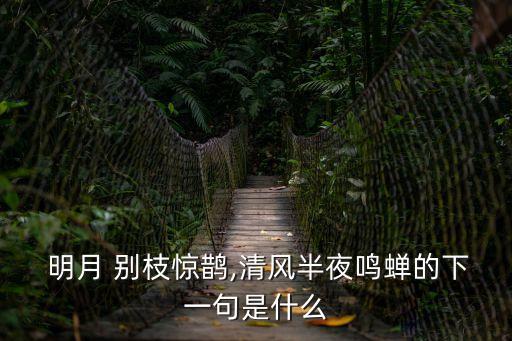  明月 別枝驚鵲,清風(fēng)半夜鳴蟬的下一句是什么