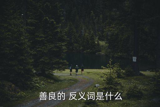  善良的 反義詞是什么