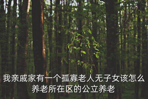 我親戚家有一個孤寡老人無子女該怎么養老所在區的公立養老