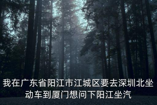 我在廣東省陽江市江城區要去深圳北坐動車到廈門想問下陽江坐汽