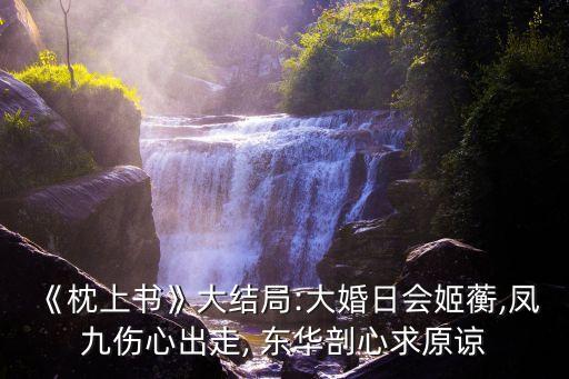 《枕上書》大結局:大婚日會姬蘅,鳳九傷心出走, 東華剖心求原諒