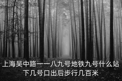 上海吳中路一一八九號(hào)地鐵九號(hào)什么站下幾號(hào)口出后步行幾百米