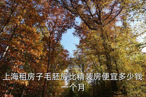 上海租房子毛胚房比精裝房便宜多少錢一個月