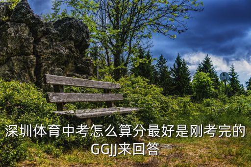 深圳體育中考怎么算分最好是剛考完的GGJJ來回答