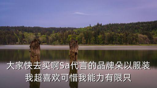 大家快去買啊Sa代言的品牌朵以服裝我超喜歡可惜我能力有限只