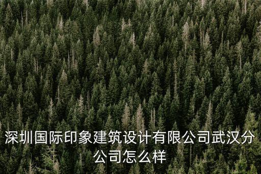 深圳設計總院武漢分院，深圳市建筑設計院武漢分院 到底怎么樣