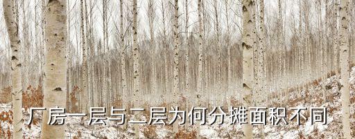 深圳廠房分割面積，深圳的面積有多大