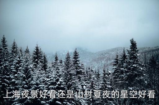 上海市的夜空燈光燦爛，我們可以觀賞到黃浦江江面燈光映射下的夜景如此燦爛這是光的