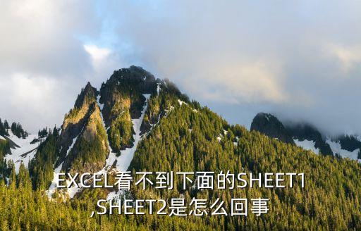 sheet1,如何使用sheet2?