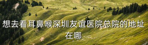 深圳五官科醫院優選友誼，想去看耳鼻喉深圳友誼醫院總院的地址在哪