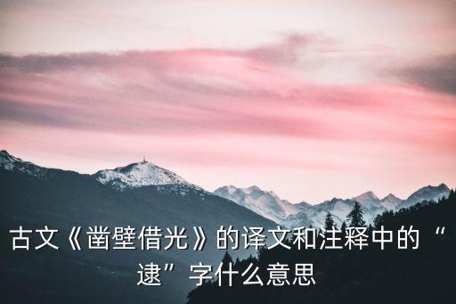 古文《鑿壁借光》的譯文和注釋中的“逮”字什么意思