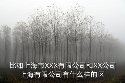 比如上海市XXX有限公司和XX公司上海有限公司有什么樣的區(qū)
