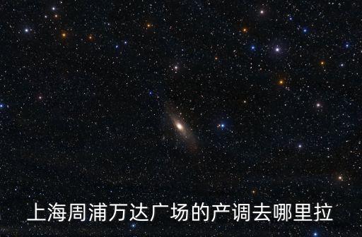 上海周浦萬達廣場的產調去哪里拉