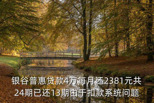 銀谷普惠貸款4萬每月還2381元共24期已還13期由于扣款系統問題