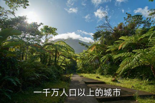 一千萬人口以上的城市