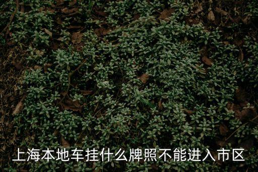 上海本地車掛什么牌照不能進入市區