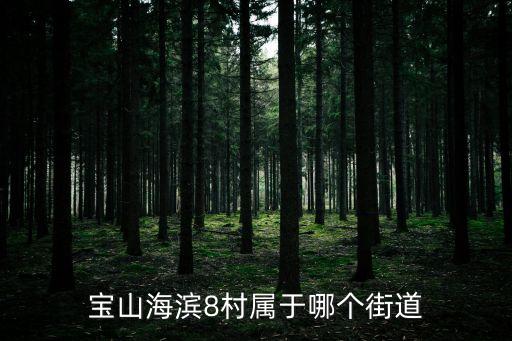 上海市寶山八村是那個(gè)弄，寶山區(qū)美康路818弄屬于哪個(gè)街道