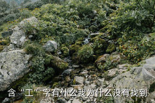 含“工”字有什么我為什么沒有找到