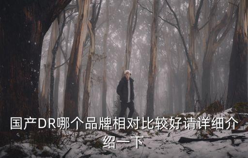 國產DR哪個品牌相對比較好請詳細介紹一下