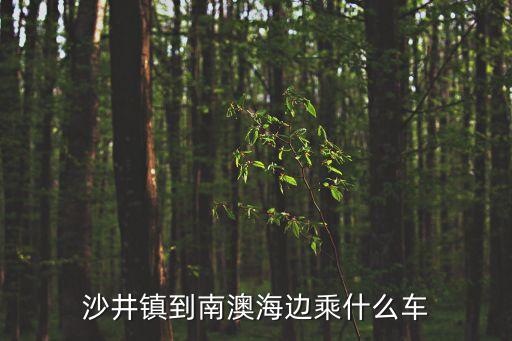 沙井鎮到南澳海邊乘什么車