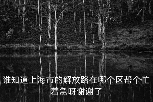 誰知道上海市的解放路在哪個(gè)區(qū)幫個(gè)忙著急呀謝謝了