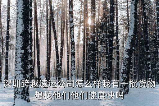 跨越速運集團深圳羅湖，跨越速運深圳布吉點在哪