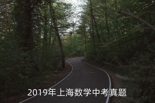 2019年上海數學中考真題