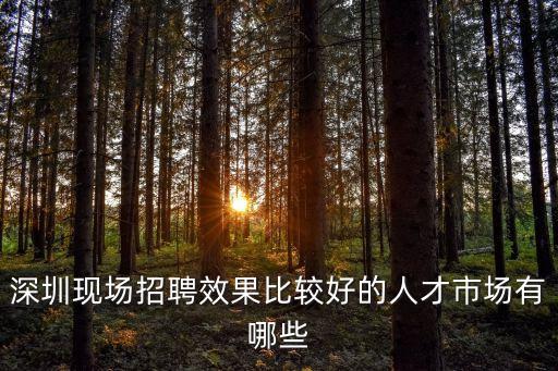 人力資源 深圳招聘，我想去深圳找工作 想了解一下有哪些比較好靠譜的招聘網站 除了智