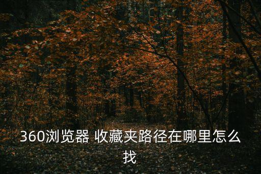 收藏夾位置,win7 360瀏覽器收藏夾位置