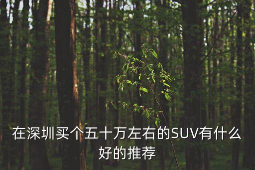 深圳帕杰羅價格，請教專家97年的綠色帕杰羅進口 手動擋 24升開了45萬公里還