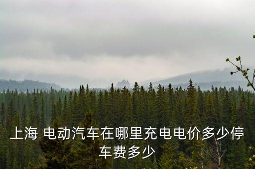上海市電力公司 電動汽車 e充電，上海 電動汽車在哪里充電電價多少停車費多少
