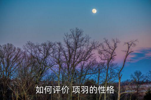 項羽人物形象分析,鴻門宴劉邦項羽人物形象分析
